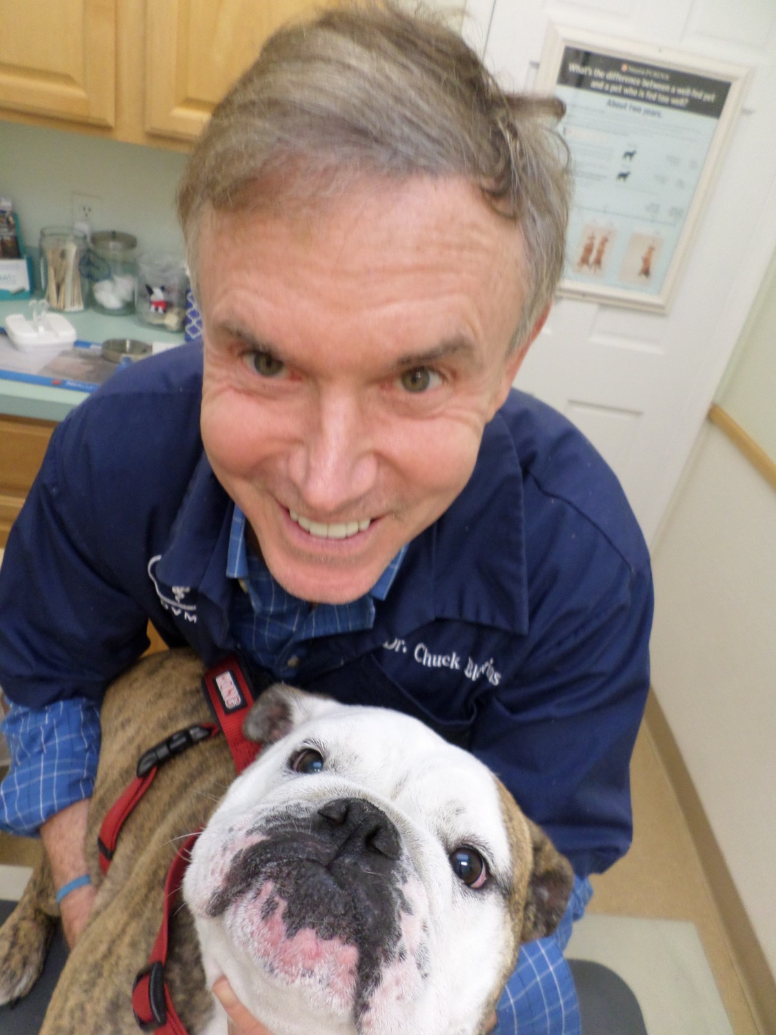 Oakton-Vienna Veterinary Hospital - Vienna, VA - Dr. Blevins Oakton-Vienna Veterinary Hospital - Vienna, VA - Dr. Blevins