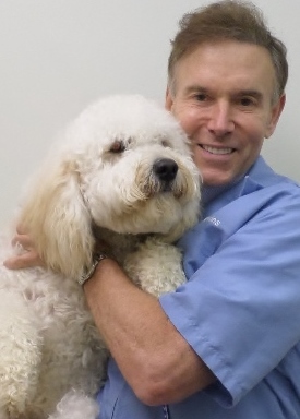 Doctor with poodle