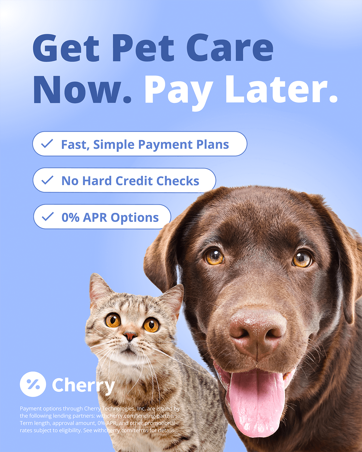 Payment Plans Info Sheet