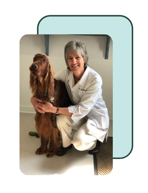 Dr. Lydia Megremis