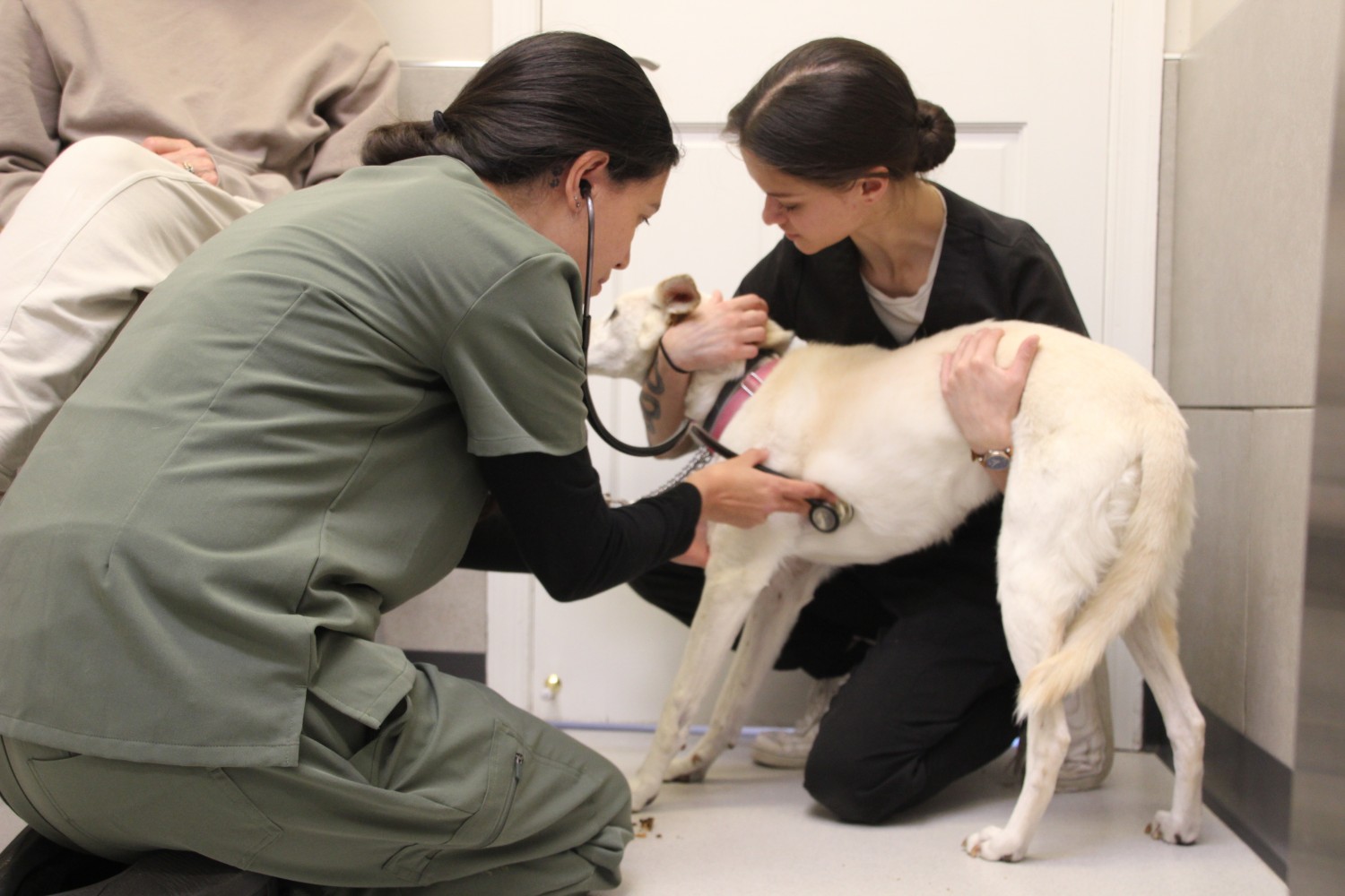 Physical Exam